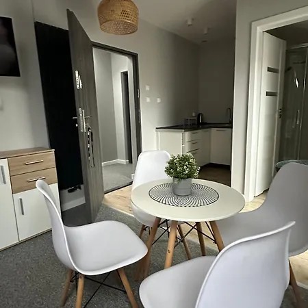 100 Metrow Do Plazy 公寓 Jastrzębia Góra